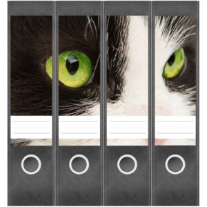 Etiketten für Ordner | Katze schwarz weiß | 4 breite Aufkleber für Ordnerrücken | Selbstklebende Design Ordneretiketten Rückenschilder