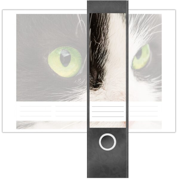 Etiketten für Ordner | Katze schwarz weiß | 4 breite Aufkleber für Ordnerrücken | Selbstklebende Design Ordneretiketten Rückenschilder