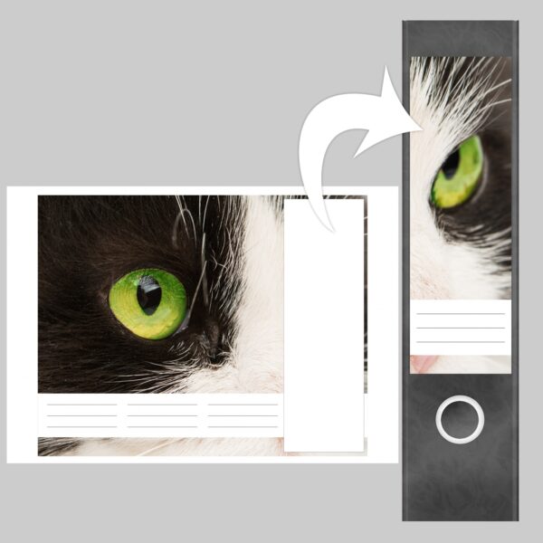 Etiketten für Ordner | Katze schwarz weiß | 4 breite Aufkleber für Ordnerrücken | Selbstklebende Design Ordneretiketten Rückenschilder