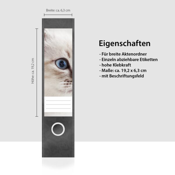 Etiketten für Ordner | Kätzchen niedlich | 4 breite Aufkleber für Ordnerrücken | Selbstklebende Design Ordneretiketten Rückenschilder