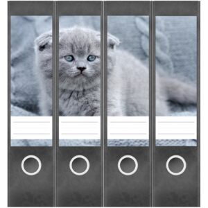 Etiketten für Ordner | graue Katze Kätzchen | 4 breite Aufkleber für Ordnerrücken | Selbstklebende Design Ordneretiketten Rückenschilder