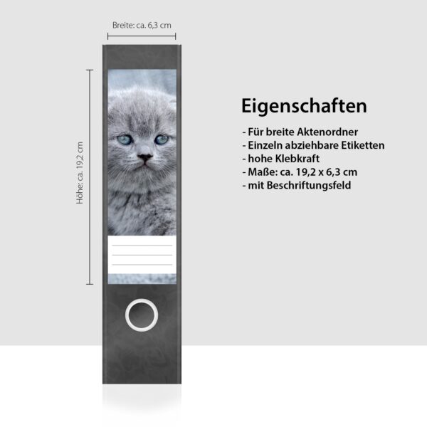 Etiketten für Ordner | graue Katze Kätzchen | 4 breite Aufkleber für Ordnerrücken | Selbstklebende Design Ordneretiketten Rückenschilder