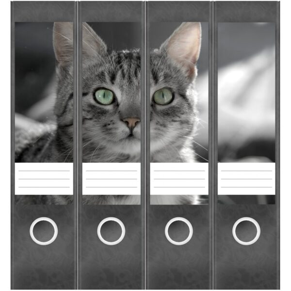 Etiketten für Ordner | neugierige Katze | 4 breite Aufkleber für Ordnerrücken | Selbstklebende Design Ordneretiketten Rückenschilder