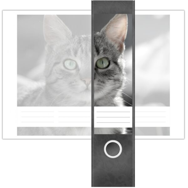 Etiketten für Ordner | neugierige Katze | 4 breite Aufkleber für Ordnerrücken | Selbstklebende Design Ordneretiketten Rückenschilder