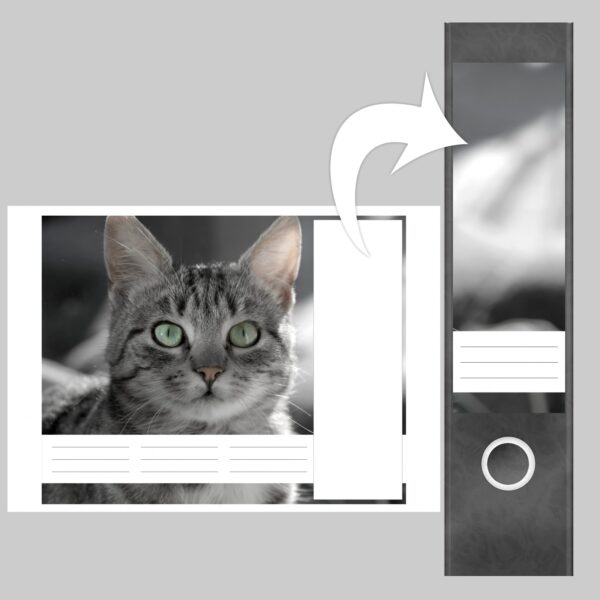 Etiketten für Ordner | neugierige Katze | 4 breite Aufkleber für Ordnerrücken | Selbstklebende Design Ordneretiketten Rückenschilder