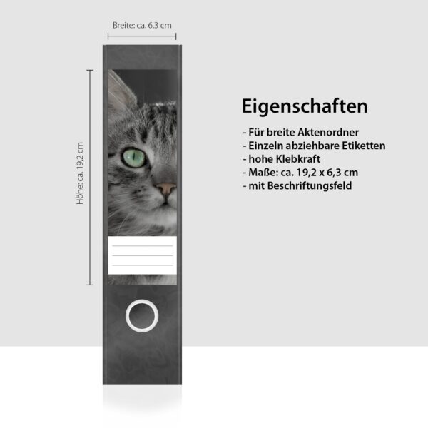 Etiketten für Ordner | neugierige Katze | 4 breite Aufkleber für Ordnerrücken | Selbstklebende Design Ordneretiketten Rückenschilder