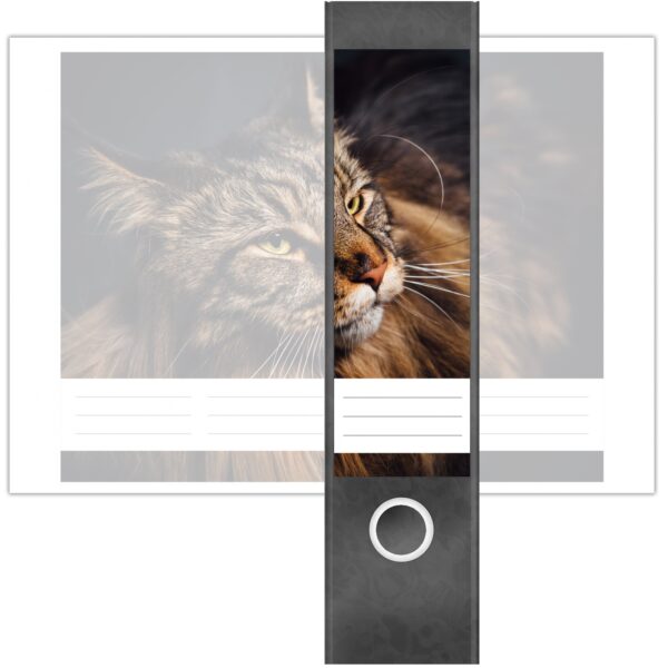 Etiketten für Ordner | Katzenfoto Katze | 4 breite Aufkleber für Ordnerrücken | Selbstklebende Design Ordneretiketten Rückenschilder