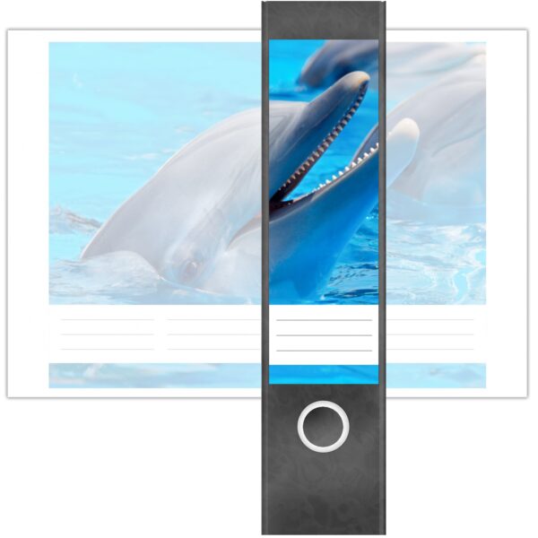 Etiketten für Ordner | Delphin Meer Wasser | 4 breite Aufkleber für Ordnerrücken | Selbstklebende Design Ordneretiketten Rückenschilder