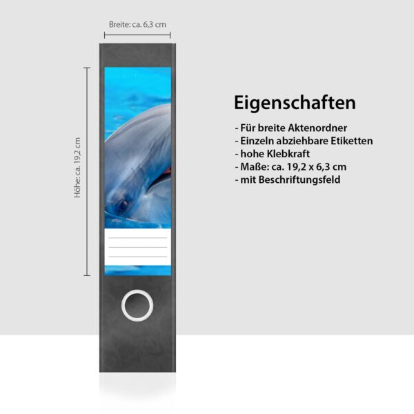 Etiketten für Ordner | Delphin Meer Wasser | 4 breite Aufkleber für Ordnerrücken | Selbstklebende Design Ordneretiketten Rückenschilder
