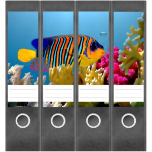 Etiketten für Ordner | Fisch Unterwasser | 4 breite Aufkleber für Ordnerrücken | Selbstklebende Design Ordneretiketten Rückenschilder