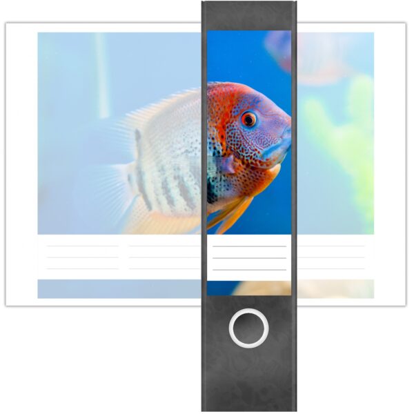 Etiketten für Ordner | Bunter Fisch Tauchen | 4 breite Aufkleber für Ordnerrücken | Selbstklebende Design Ordneretiketten Rückenschilder