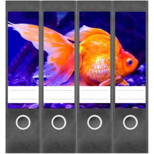 Etiketten für Ordner | Goldener Fisch Aquarium | 4 breite Aufkleber für Ordnerrücken | Selbstklebende Design Ordneretiketten Rückenschilder
