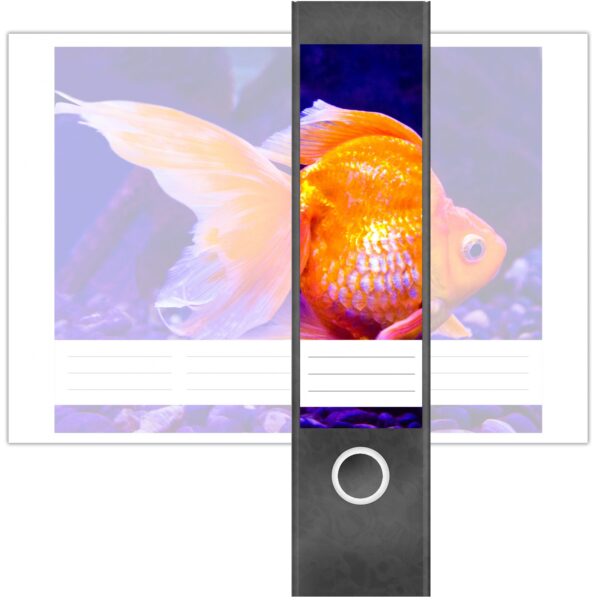 Etiketten für Ordner | Goldener Fisch Aquarium | 4 breite Aufkleber für Ordnerrücken | Selbstklebende Design Ordneretiketten Rückenschilder