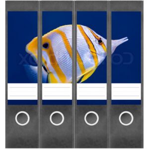 Etiketten für Ordner | Fisch Aquarium Meer | 4 breite Aufkleber für Ordnerrücken | Selbstklebende Design Ordneretiketten Rückenschilder