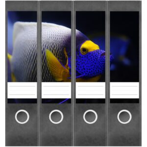 Etiketten für Ordner | Tauchen Fisch Koralle | 4 breite Aufkleber für Ordnerrücken | Selbstklebende Design Ordneretiketten Rückenschilder