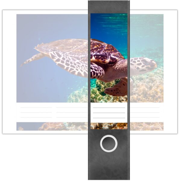 Etiketten für Ordner | Wasserschildkröte Tier | 4 breite Aufkleber für Ordnerrücken | Selbstklebende Design Ordneretiketten Rückenschilder