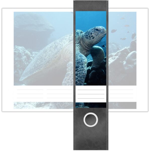 Etiketten für Ordner | Schildkröte Unterwasser | 4 breite Aufkleber für Ordnerrücken | Selbstklebende Design Ordneretiketten Rückenschilder