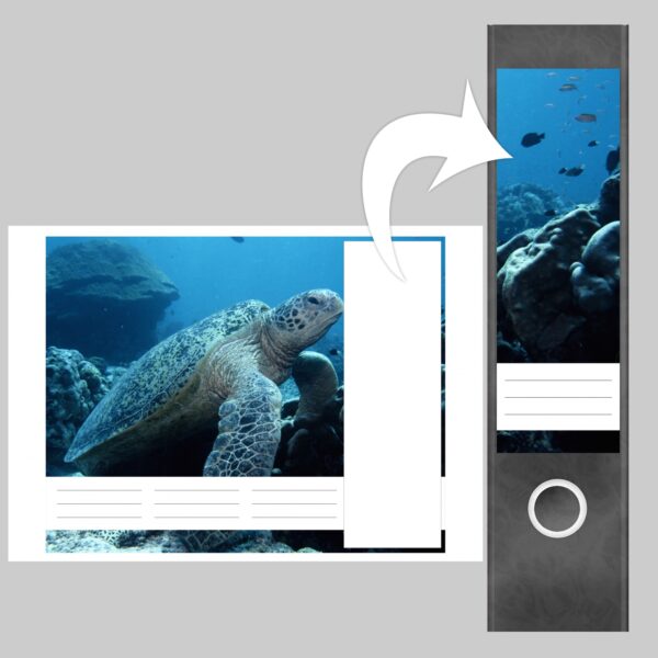Etiketten für Ordner | Schildkröte Unterwasser | 4 breite Aufkleber für Ordnerrücken | Selbstklebende Design Ordneretiketten Rückenschilder