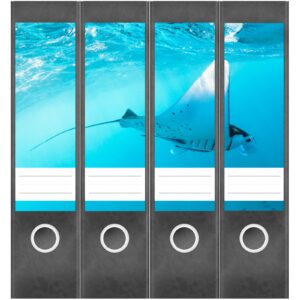 Etiketten für Ordner | Rochen Tauchen Meer | 4 breite Aufkleber für Ordnerrücken | Selbstklebende Design Ordneretiketten Rückenschilder