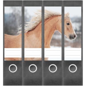 Etiketten für Ordner | Pferd Fohlen | 4 breite Aufkleber für Ordnerrücken | Selbstklebende Design Ordneretiketten Rückenschilder