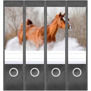 Etiketten für Ordner | Pferd im Schnee | 4 breite Aufkleber für Ordnerrücken | Selbstklebende Design Ordneretiketten Rückenschilder