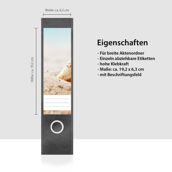 Etiketten für Ordner | Muschel im Sand | 4 breite Aufkleber für Ordnerrücken | Selbstklebende Design Ordneretiketten Rückenschilder