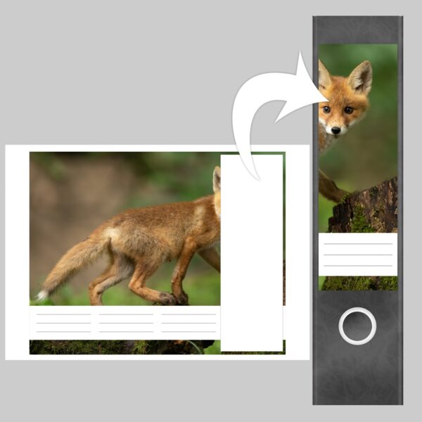 Etiketten für Ordner | Kleiner Fuchs | 4 breite Aufkleber für Ordnerrücken | Selbstklebende Design Ordneretiketten Rückenschilder