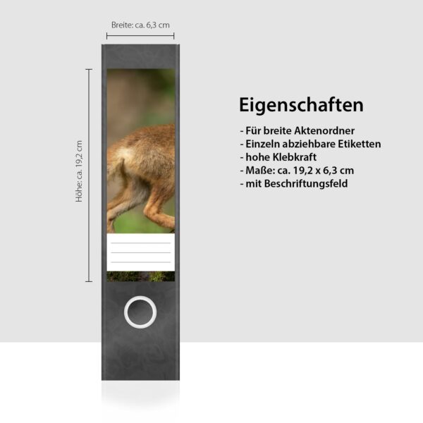 Etiketten für Ordner | Kleiner Fuchs | 4 breite Aufkleber für Ordnerrücken | Selbstklebende Design Ordneretiketten Rückenschilder