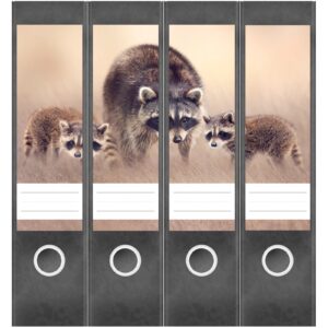 Etiketten für Ordner | Waschbären | 4 breite Aufkleber für Ordnerrücken | Selbstklebende Design Ordneretiketten Rückenschilder