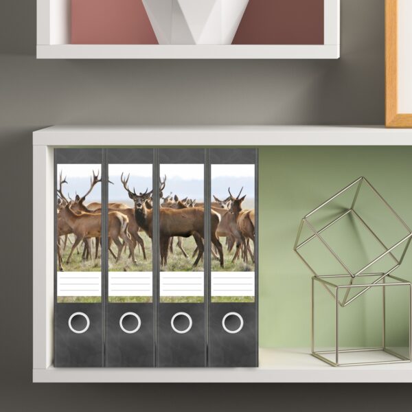 Etiketten für Ordner | Hirsche | 4 breite Aufkleber für Ordnerrücken | Selbstklebende Design Ordneretiketten Rückenschilder