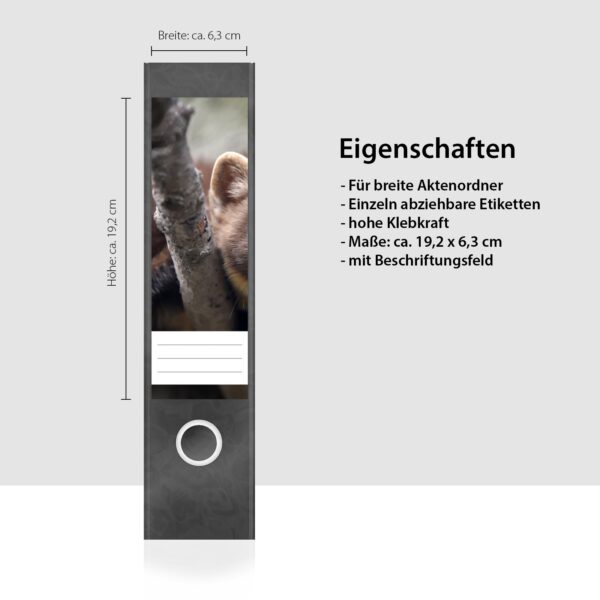 Etiketten für Ordner | Frettchen | 4 breite Aufkleber für Ordnerrücken | Selbstklebende Design Ordneretiketten Rückenschilder
