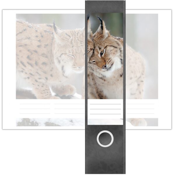 Etiketten für Ordner | Luchs | 4 breite Aufkleber für Ordnerrücken | Selbstklebende Design Ordneretiketten Rückenschilder