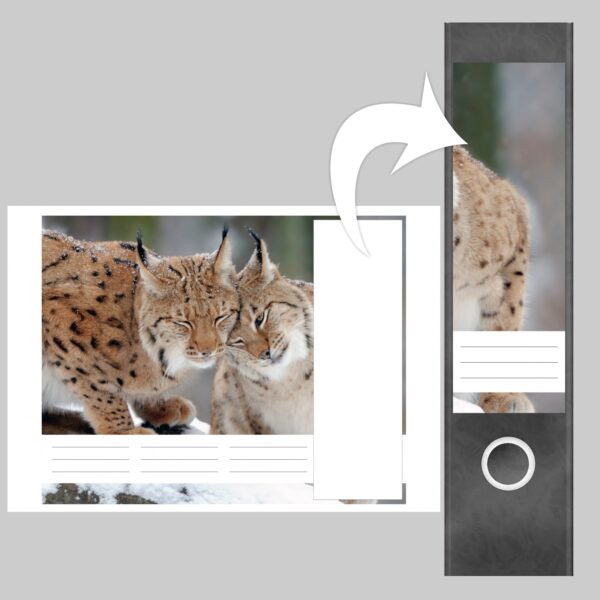 Etiketten für Ordner | Luchs | 4 breite Aufkleber für Ordnerrücken | Selbstklebende Design Ordneretiketten Rückenschilder