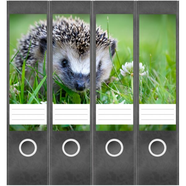 Etiketten für Ordner | Süßer Igel | 4 breite Aufkleber für Ordnerrücken | Selbstklebende Design Ordneretiketten Rückenschilder
