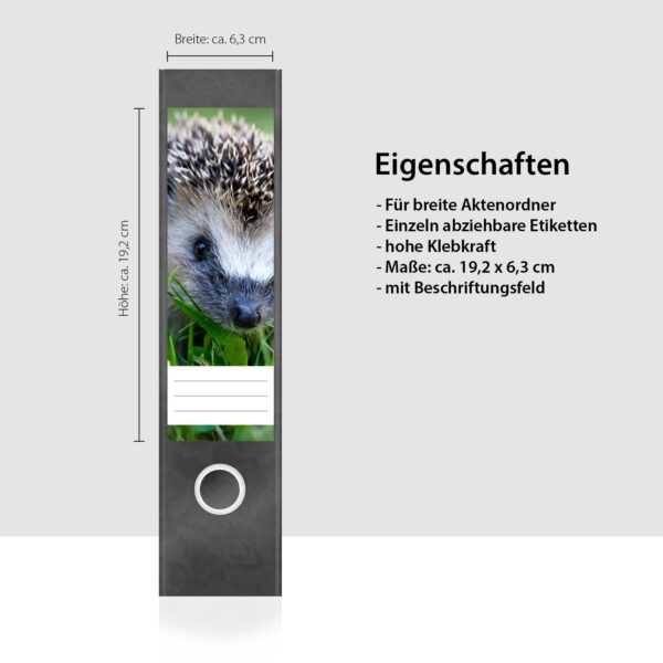 Etiketten für Ordner | Süßer Igel | 4 breite Aufkleber für Ordnerrücken | Selbstklebende Design Ordneretiketten Rückenschilder