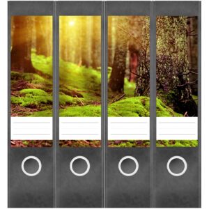 Etiketten für Ordner | Moos im Wald | 4 breite Aufkleber für Ordnerrücken | Selbstklebende Design Ordneretiketten Rückenschilder