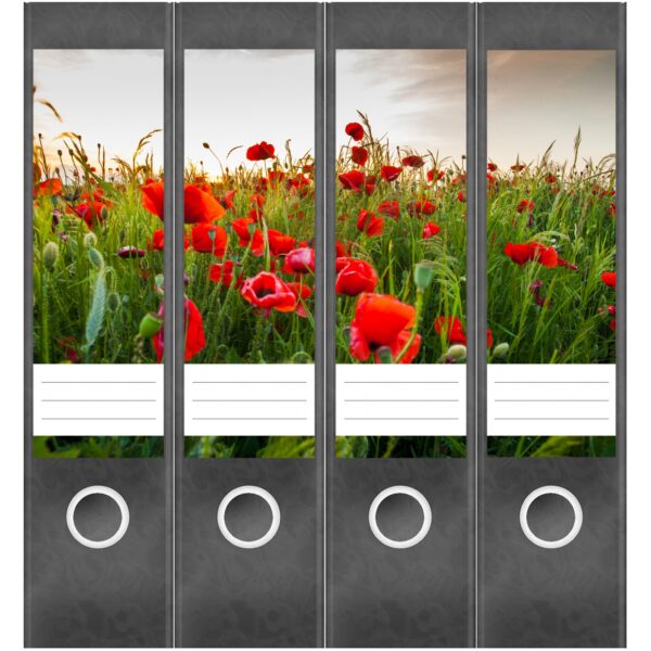 Etiketten für Ordner | Mohnblüte Wiese | 4 breite Aufkleber für Ordnerrücken | Selbstklebende Design Ordneretiketten Rückenschilder