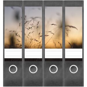 Etiketten für Ordner | Sommerabend | 4 breite Aufkleber für Ordnerrücken | Selbstklebende Design Ordneretiketten Rückenschilder