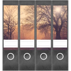 Etiketten für Ordner | Kahle Bäume | 4 breite Aufkleber für Ordnerrücken | Selbstklebende Design Ordneretiketten Rückenschilder