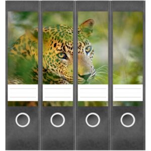 Etiketten für Ordner | Leopard | 4 breite Aufkleber für Ordnerrücken | Selbstklebende Design Ordneretiketten Rückenschilder
