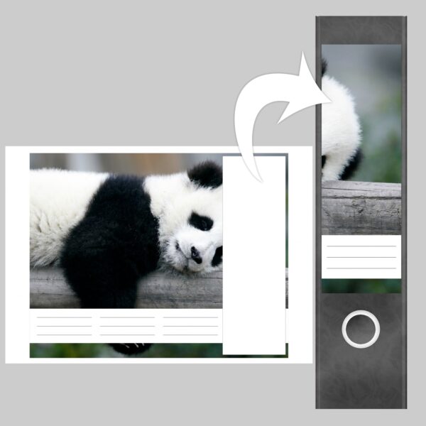 Etiketten für Ordner | Baby Panda Bär | 4 breite Aufkleber für Ordnerrücken | Selbstklebende Design Ordneretiketten Rückenschilder