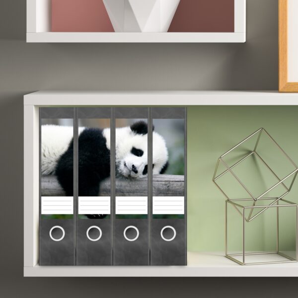 Etiketten für Ordner | Baby Panda Bär | 4 breite Aufkleber für Ordnerrücken | Selbstklebende Design Ordneretiketten Rückenschilder