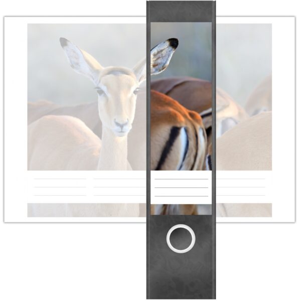 Etiketten für Ordner | Gazelle | 4 breite Aufkleber für Ordnerrücken | Selbstklebende Design Ordneretiketten Rückenschilder