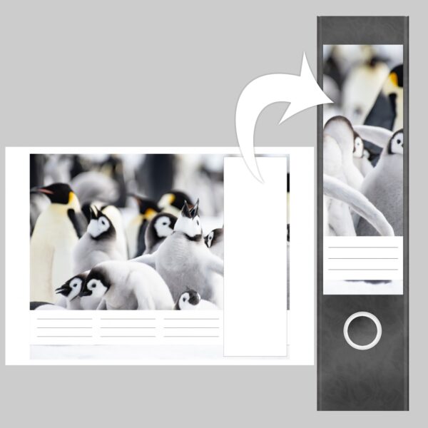 Etiketten für Ordner | Pinguine | 4 breite Aufkleber für Ordnerrücken | Selbstklebende Design Ordneretiketten Rückenschilder
