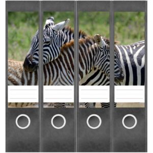 Etiketten für Ordner | 2 Zebras | 4 breite Aufkleber für Ordnerrücken | Selbstklebende Design Ordneretiketten Rückenschilder