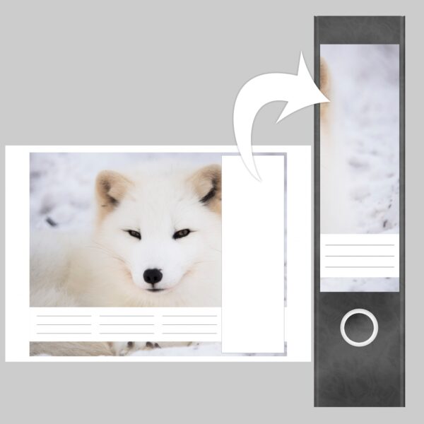 Etiketten für Ordner | Schneefuchs | 4 breite Aufkleber für Ordnerrücken | Selbstklebende Design Ordneretiketten Rückenschilder