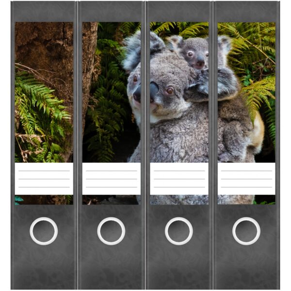Etiketten für Ordner | Koala Bären | 4 breite Aufkleber für Ordnerrücken | Selbstklebende Design Ordneretiketten Rückenschilder