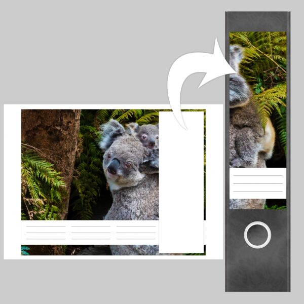 Etiketten für Ordner | Koala Bären | 4 breite Aufkleber für Ordnerrücken | Selbstklebende Design Ordneretiketten Rückenschilder