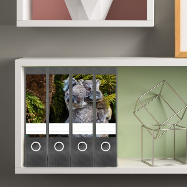 Etiketten für Ordner | Koala Bären | 4 breite Aufkleber für Ordnerrücken | Selbstklebende Design Ordneretiketten Rückenschilder