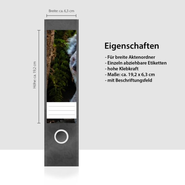 Etiketten für Ordner | Koala Bären | 4 breite Aufkleber für Ordnerrücken | Selbstklebende Design Ordneretiketten Rückenschilder